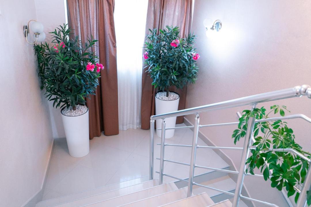 Hotel Zeleni Vir Ni Extérieur photo